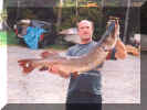 YoungPike.jpg (28130 bytes)